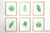 Gorgeous Tropical Plant Water Color Prints - Digital Download